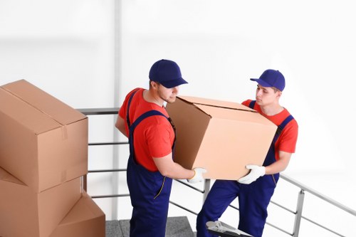 Different box sizes for packing and storage needs