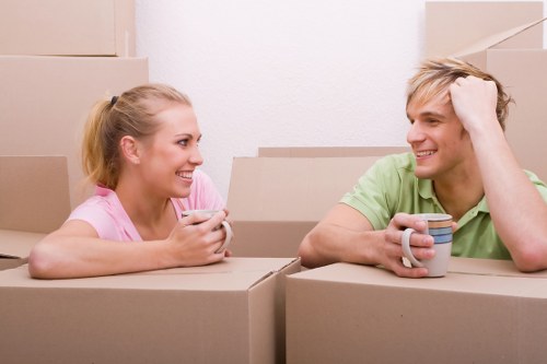 Illustration representing accessible movers services in Crystal Palace