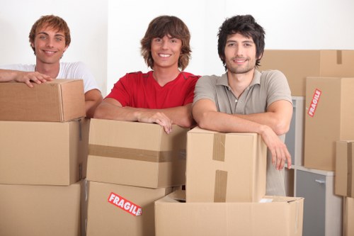 Commercial packing and labelled boxes for a business move