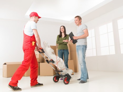 Professional student removals in Crystal Palace with organized packing